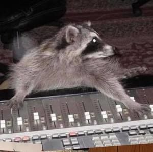 Meet your Posher, Scott